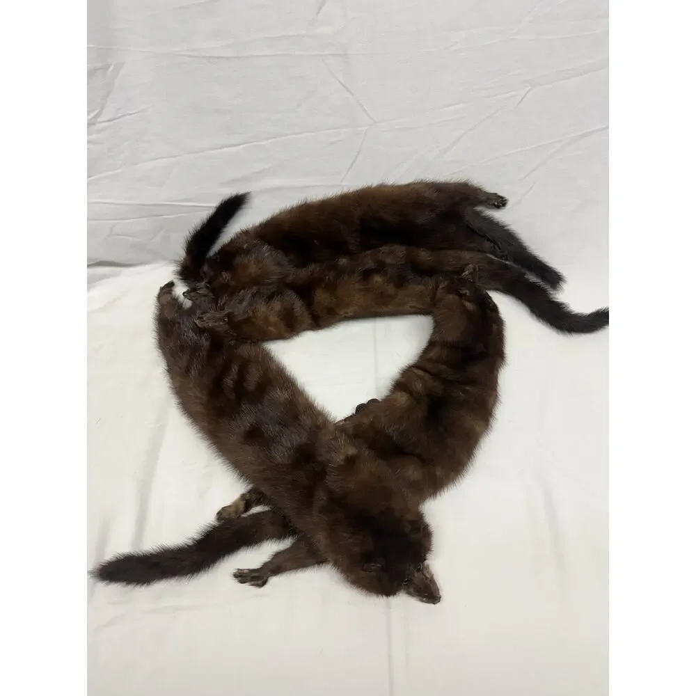 Vintage 4 Mink Fur Stole Pelts Scarfs Heads Full Body Taxidermy 1940s 1950s